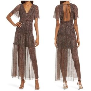 Floret Studios Metallic Plissé Sheer Maxi Dress Sz L